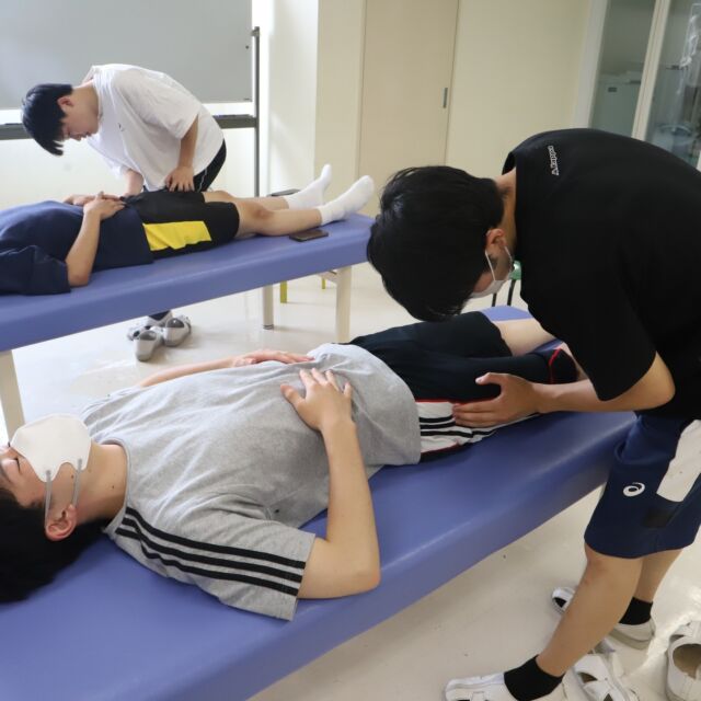 8月から始まる臨床評価実習に向け、触診の授業を実施しました。患者さんを想定し、丁寧かつ的確に触診できるように練習しています。#触診 #理学療法士の卵