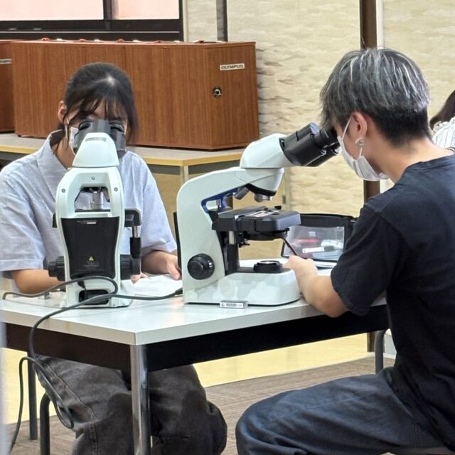 顕微鏡🔬で何をしていると思いますか❓実は生理学実習という授業で、マウスの組織標本を観察してスケッチしているところです🎨特徴を捉え、客観的かつ正確に記録して第三者に伝えるトレーニングです💪これ医療現場に欠かせない基本スキルなんです🏥学生たちも真剣な表情で取り組んでいました👩‍🎓
#岡山医療専門職大学
#理学療法
#作業療法
#リハビリ